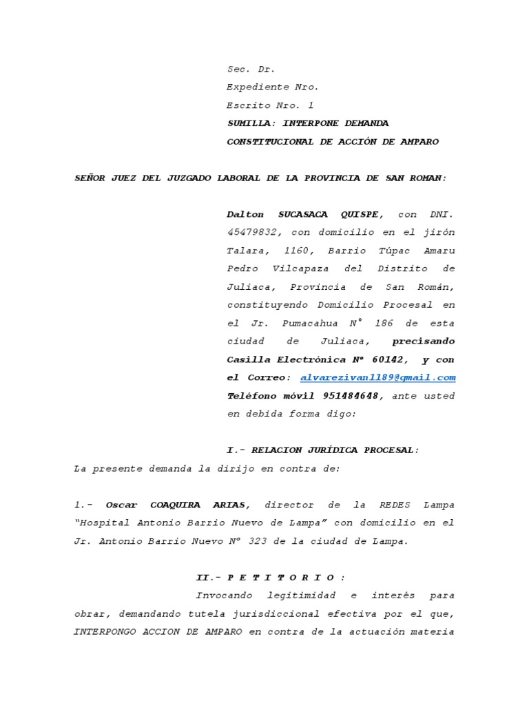 Accion de Amparo | PDF | Debido al proceso | Derecho Constitucional