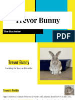 Trevor Bunny Looking For Love or Friends