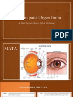 Kelainan Pada Indra