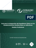 Guía Integracón Expediente Clínico