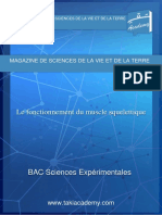 Le Fonctionnement Du Muscle Squelettique: Magazine de Sciences de La Vie Et de La Terre