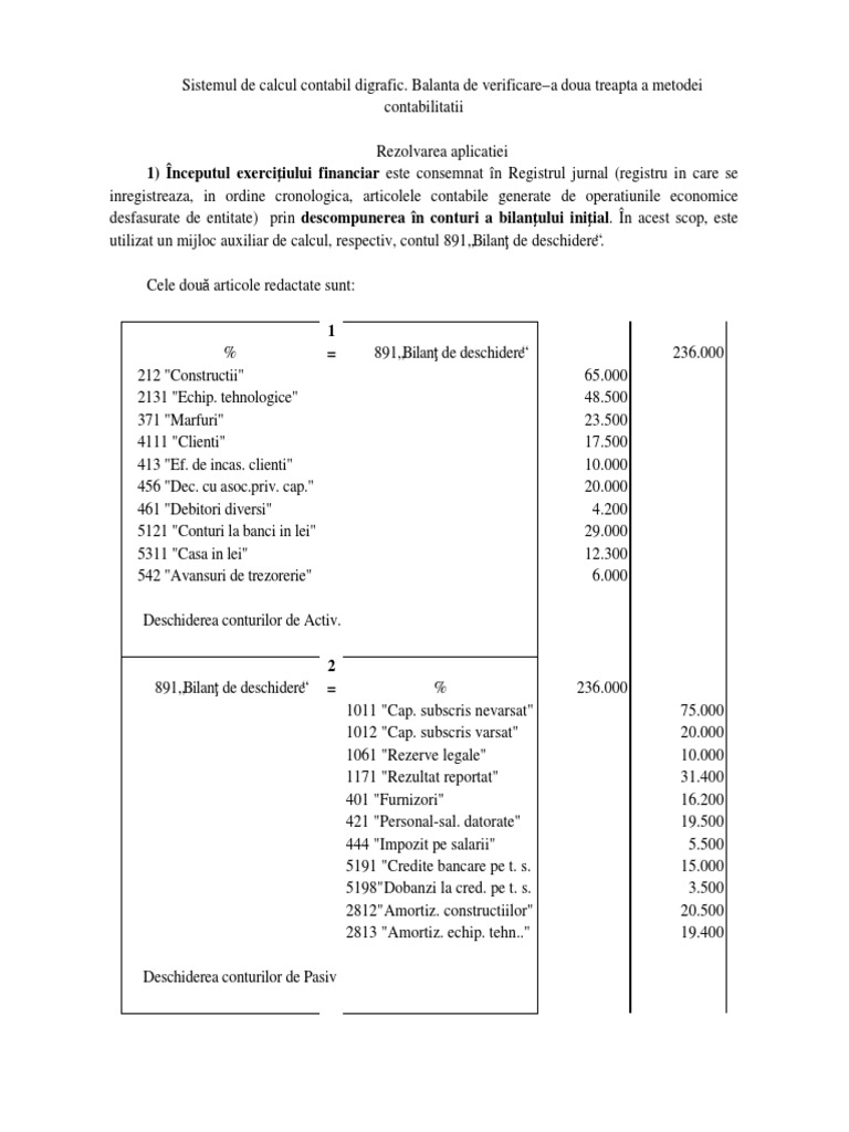 Sistemul de Calcul Contabil Digrafic - Rezolvare Partiala Aplicatie | PDF