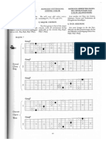 Wrembel - Stephane - Arpeggios On The Fretboard