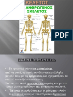 1. ΑΝΑΤΟΜΙΑ Ερειστικο-Σκελετός