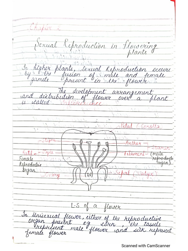 Notes of Reproduction in Flowering Plants | PDF