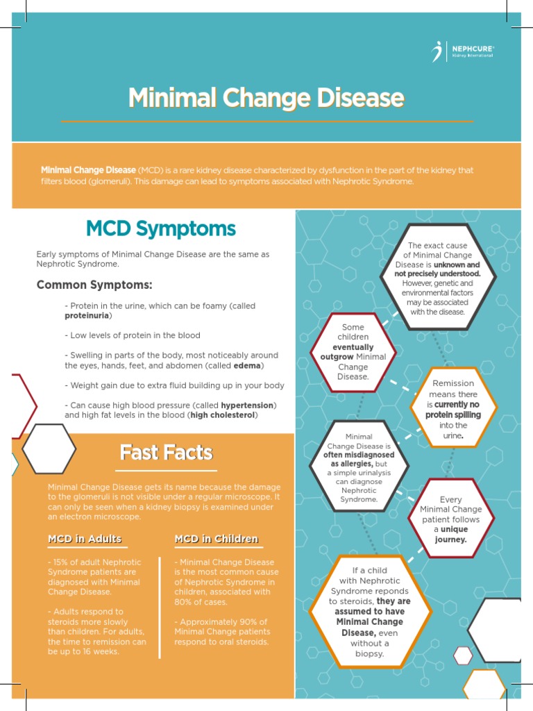 Minimal Change Disease Fact Sheet 4.12.18 | PDF | Human Diseases And ...