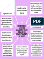 Os Primeiros Anos Dos Laboratórios de Análise Do Comportamento No Brasil