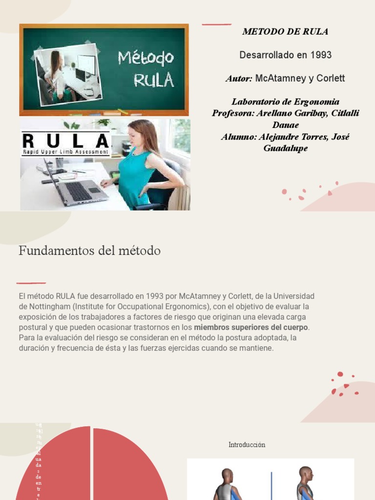 Evaluación Ergonómica con Método RULA | PDF | Anatomía | Anatomía humana