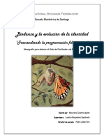 Monografía Evolución de La Identidad - Biodanza