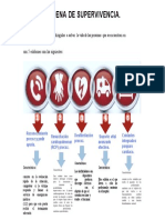 Cadena de Supervivenvia