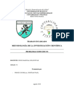 Problema Especificos Del Proyecto de Investigacion