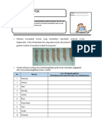 LKPD Pertemuan Ke 2