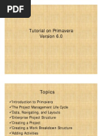 Primavera Tutorial - Version - 6.0