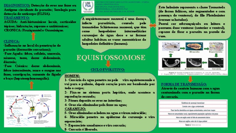 Esquistossomose mansoni: ciclo de vida, sintomas e tratamento | PDF ...