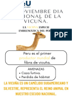 Infografia de Dia Nacional de La Vicuña