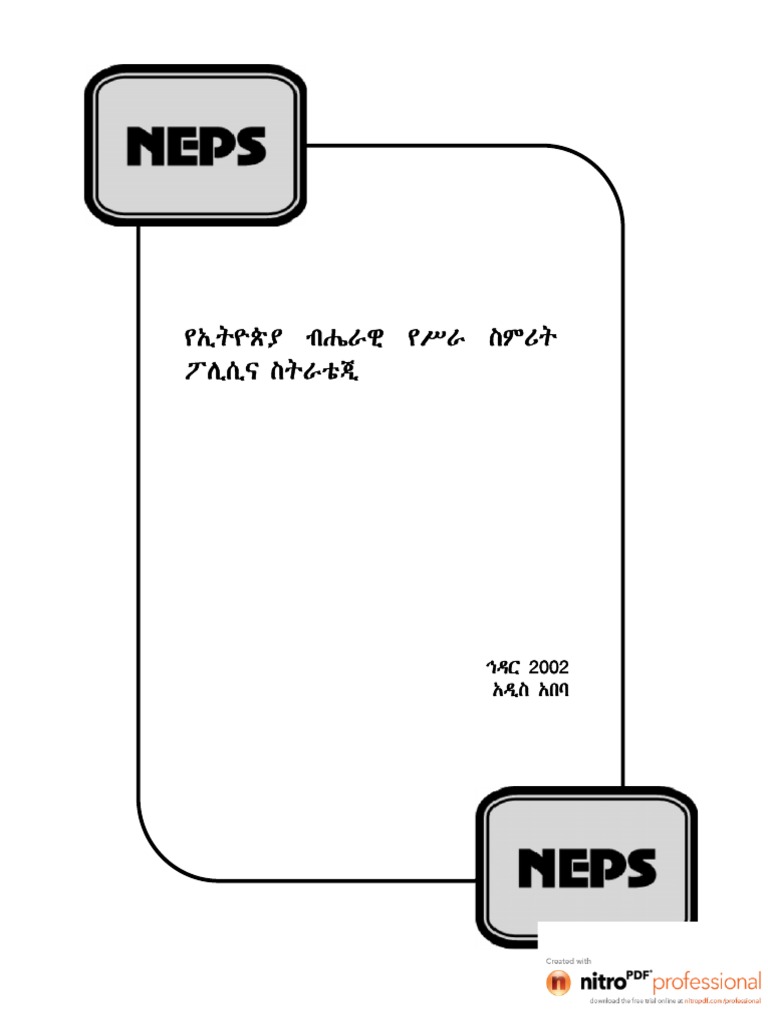 national-employment-policy-and-strategy-amharic-pdf