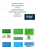 DSS1 Mapa Conceptual Juan Carlos NavarroÁlvarez