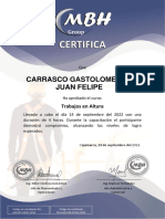 2022 - 07 - 14 TrabAltura PlatVirt CCA-certificados