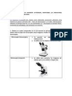 ACTIVIDAD 3 - Microbiología - Moodle