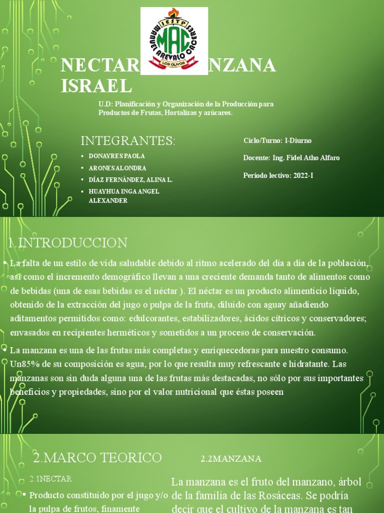 Producción y elaboración de néctar de manzana Israel: planificación ...