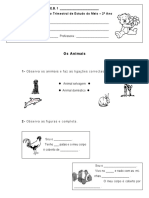 Animais e Estações Do Ano - Estudo Do Meio 2 Ano