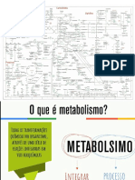 Aula_Introdução ao metabolismo