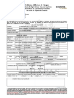 Formato de Permiso de Internacion291020