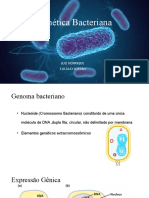 Genética Bacteriana DNA