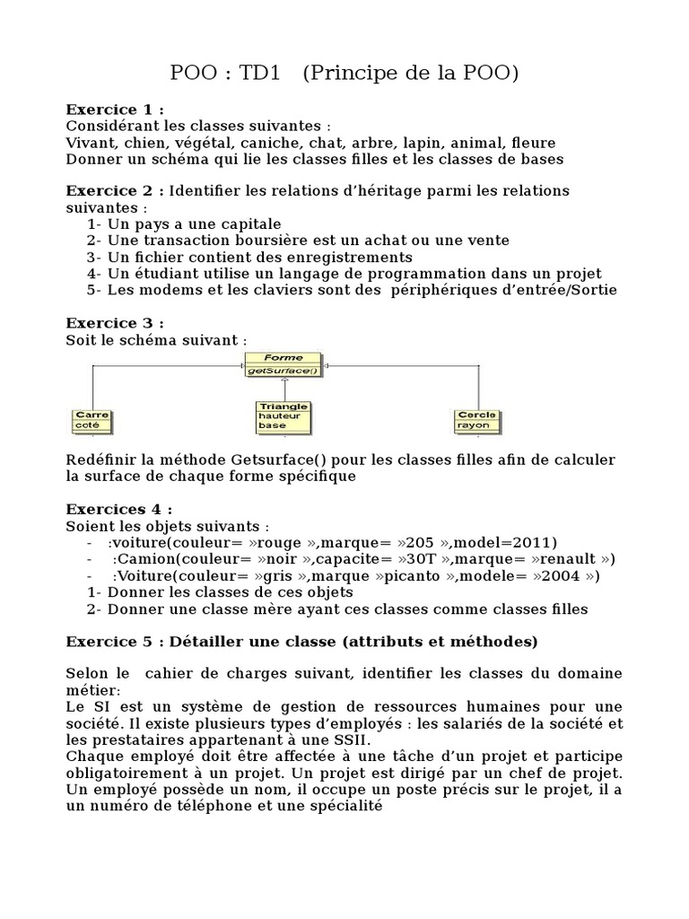 Introduction à la POO : Exercices et Concepts | PDF