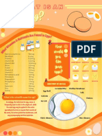 Infographic For Egg