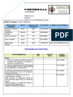 Programacion de Auditoria