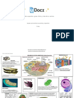 Repaso Cprocariota Ceucariota y Organelos 300979 Downloable 2178536