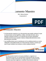 Documento Maestro 