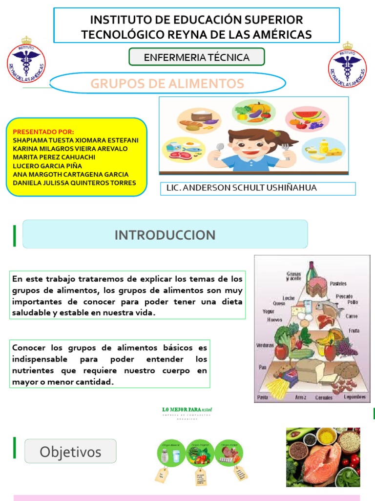 Grupos De Alimentos Pdf