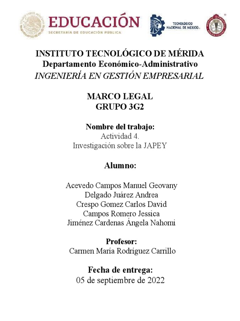 JAPEY: Apoyo a IAP en Yucatán | PDF | Relaciones personales, crianza y ...