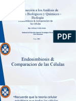 Endosimbiosis Comparacíon de Las Células