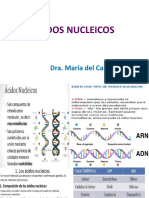 BC2021 Acidos Nucleicos Membrana Plasmática