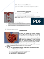 Actividad Sistema Cardiovascular