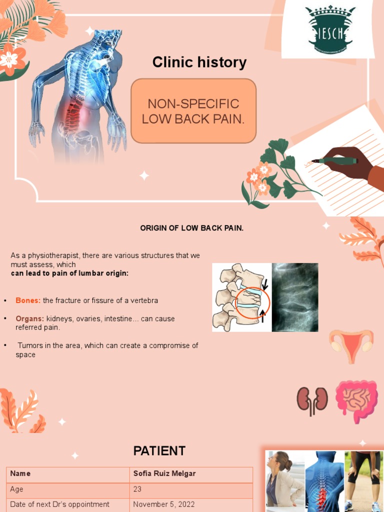 Understanding Non-Specific Low Back Pain | PDF | Wellness