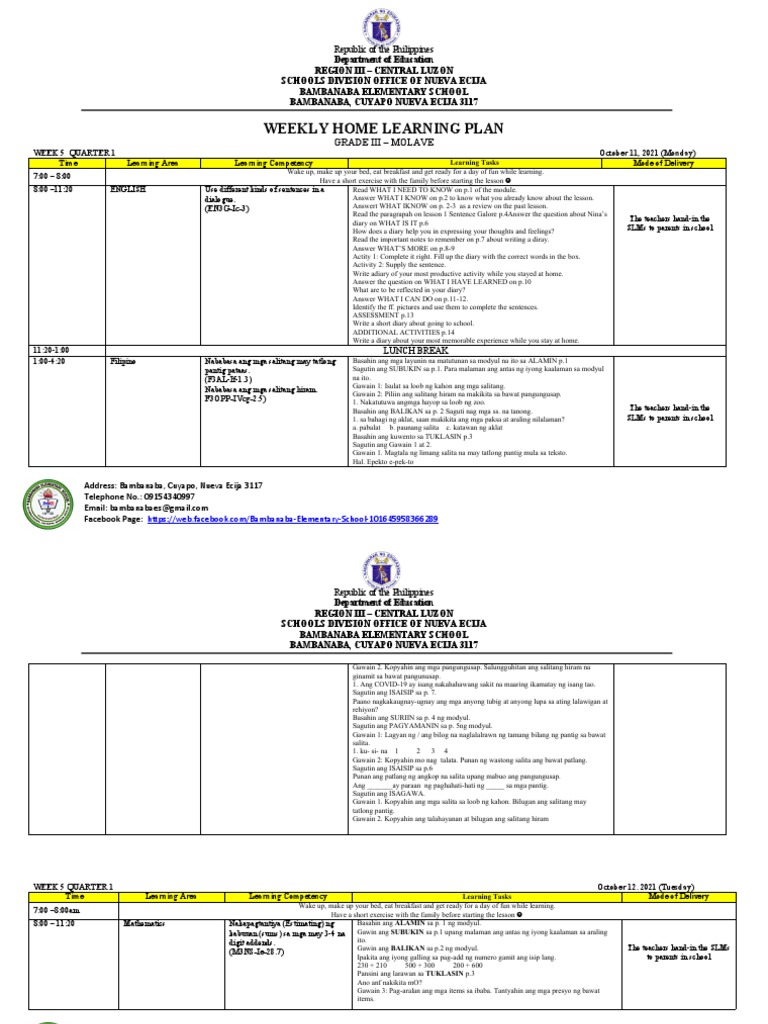 Grade 3 Weekly Learning Plan - Week 5 | PDF