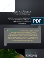 Características da Mata Atlântica e sua biodiversidade em risco
