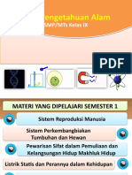 Sistem Reproduksi Manusia New