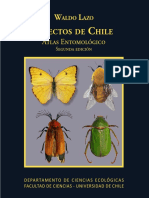 Nsectos de Hile: Atlas Entomológico