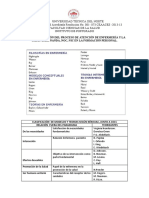 Taller Aplicación Del Proceso de Atención de Enfermería y La Taxonomía Nanda