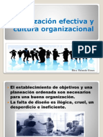 Organización efectiva y cultura organizacional (1)