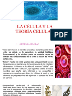 Tipos Celulares y Organelos Celulares