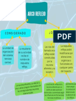 Mapa Conceptual Arco Reflejo