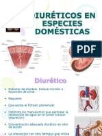 Diureticos