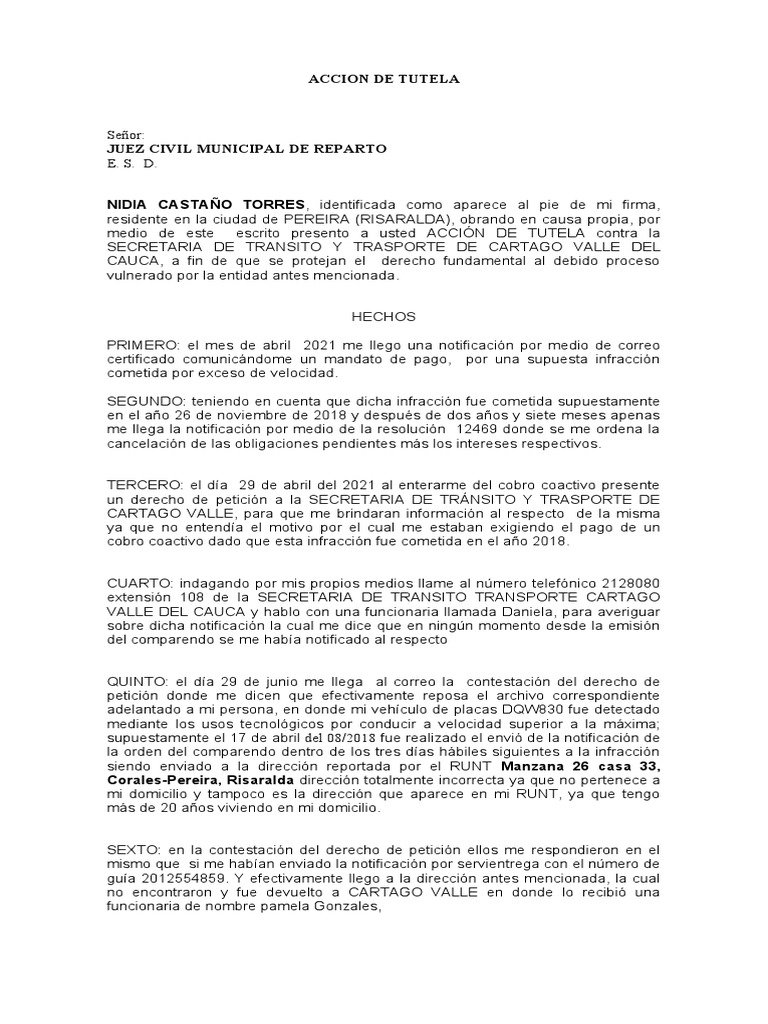 Accion de Tutela | PDF
