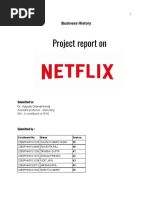 Netflix Report Final